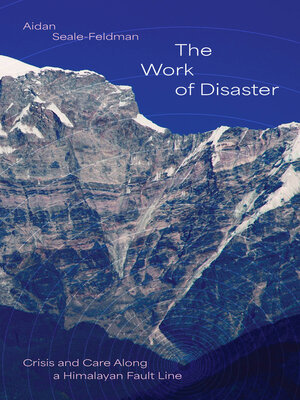 cover image of The Work of Disaster